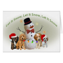 Cavapoo Weihnachtskarten ließen es schneien