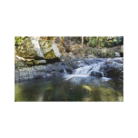 Cedar Creek Felsen-Pool Queensland Australien Gespannte Galerie Drucke
