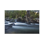 Cedar Creek Queensland Australia Canvas Prints