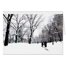 Central Park 2011 Karten