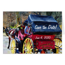 Central Park, der Save the Date Karte Wedding ist