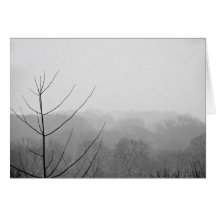 Central Park-Nebel - NYC Grußkarten