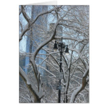 CENTRAL PARK NY GRUßKARTEN