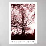 Central Park-Spätherbst, fast unfruchtbarer Baum r Plakatdruck