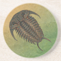 Ceraurus Fossil Trilobite Bierdeckel