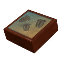 Ceraurus und Levicerurus versteinerte Trilobite Ge