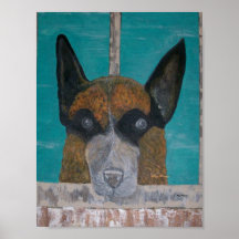 Cesar Plakatdruck