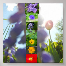 Chakras durch Blumenblätter Poster