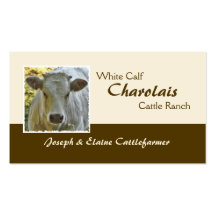 Charolaisrindfleisch-Visitenkarte