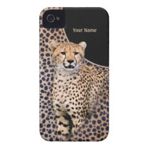 Cheetah Portrait and Fur - Customize casemate hüllen