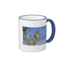 Cheetahs Tasse