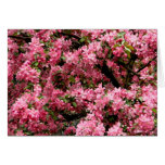 Cherry blossoms greeting card