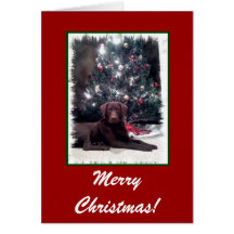 Chesapeake Bay-Retriever, frohe Weihnachten! Karte