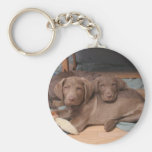Chesapeake Bay-Retriever Schlüsselband