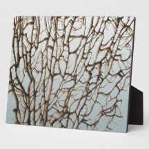 Chic Undersea Black Sea Fan Plaque