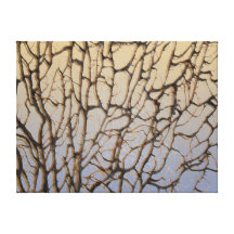 Chic Undersea Black Sea Fan Wrapped Canvas Gallery Wrap Canvas