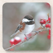 Chickadee in fallendem Schnee mit roten Beeren Getränk Untersetzer
