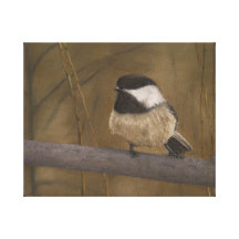 Chickadee Leinwand Drucke