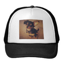 Chihuahua-Fernlastfahrer-Hut Kappe
