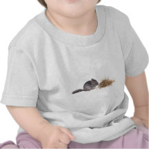 Chinchillas T-Shirts