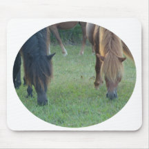 Chincoteague Insel-/Assateague Inselpony Mousepad