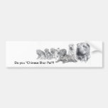 Chinese Shar Pei Autosticker