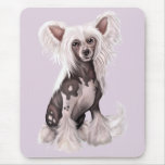 Chinesische unbehaarte mit Haube sitzen Mousepads