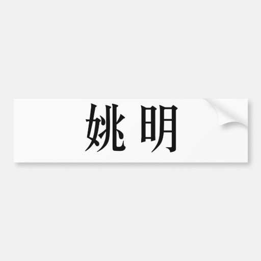 Chinesischer Name von Yao Ming Autosticker