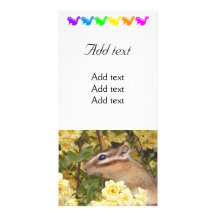 Chipmunk photo　(30-1) フォトグリーティングカード