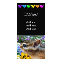 Chipmunk photo　(30-9) カスタマイズフォトカード