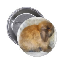 Choco Button