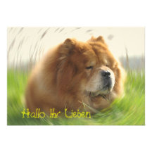 Chow Chow Personalisierte Ankündigungen