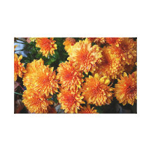 Chrysanthemen Galerie Gefaltete Leinwand