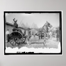 Circa Pferdephotographie 1911 Plakate