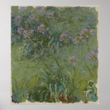 Claude Monet - Agapanthus Posterdrucke
