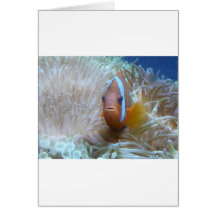 Clownfische in der Anemone Grußkarte