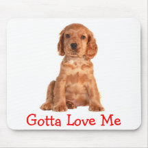 Cockerspaniel gelangte an Liebe mich Welpen-Hund M