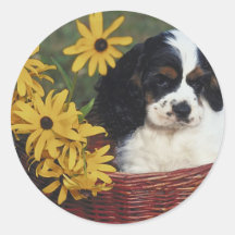 Cockerspaniel-Welpen-Blumen-Korb Aufkleber