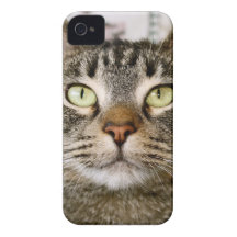 Coco-Kamerad Iphone Fall Case-Mate iPhone 4 Hüllen