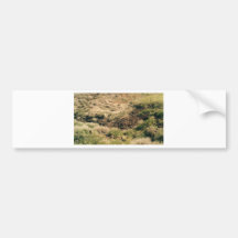 Colorado-Berge Auto Sticker