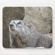 Colorado-wild lebende Tiere Mousepad