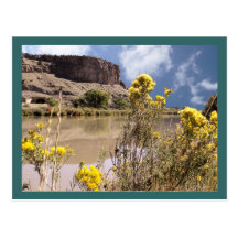 Colorado-Wildblumen-Postkarte