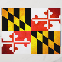 Colorful Contrast Marylander Flag Flyer Design