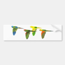 Conures! Auto Aufkleber