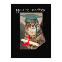 Coole Katzen-Abschluss-Party Einladung