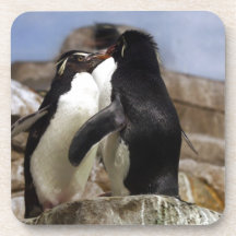 coole küssende Penguins Untersetzer