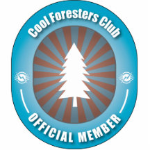 Cooler Förster-Verein Fotoskulptur