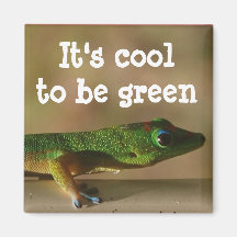 Cooler grüner Gecko Magnete