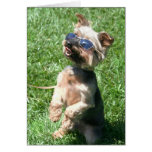 Cooles Yorkshire Terrie Notecard Karten