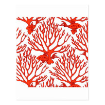 CORAL_white_orange Postkarten
